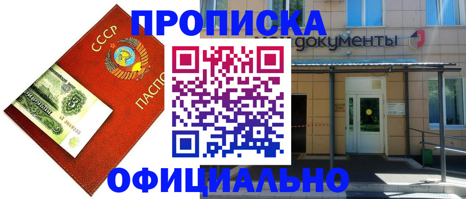 прописка для школы в Фрязино